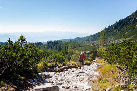 Tourist trekking in Beautiful Mlynicka dolina on the way to Bystre sedlo - in slovakian high Tatra...