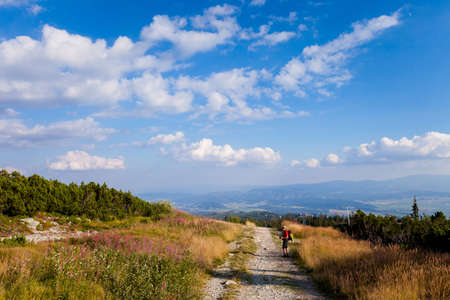 Tourist in Beautiful Furkotska dolina on the way to Bystre sedlo - in slovakian high Tatra mountains. Summer panorama with great weather and blue skyの写真素材