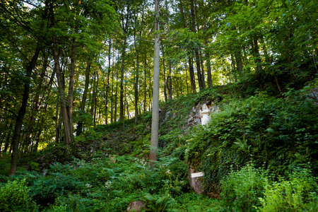 Beautiful old angel sculpture in Sipka park in Stramberk, Czech republic. Colorful landscape.