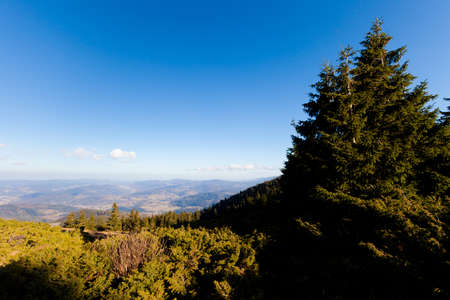 Beautiful autumn woods landscape taken in polish Beskidy mountain, path to Pilsko - Beskid Zywiecki
