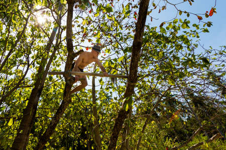 Handsomel caucasianman climbing on tree on remote tropical island near koh Chang in Thailand. Forest scene taken during honeymoon.の写真素材