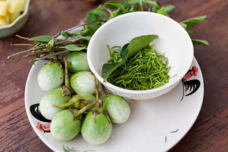 Fresh eggplants and kaffir lime. Picture of traditional thai ingredients taken during cooking class in Chiang Mai.の写真素材