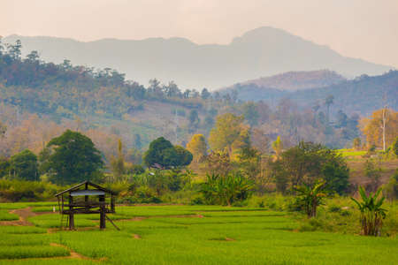 Beautiful landscape with rice fields taken in touristic Pai village in north Thailand. Mountain view in south east Asia.の写真素材
