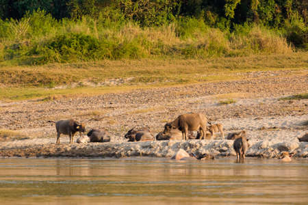 Beautiful landscape taken during two day cruise on Mekong River from Huay Xai via Pakbeng to Luang Prabang in Laos. Touristic trip trough south east Asia.の写真素材