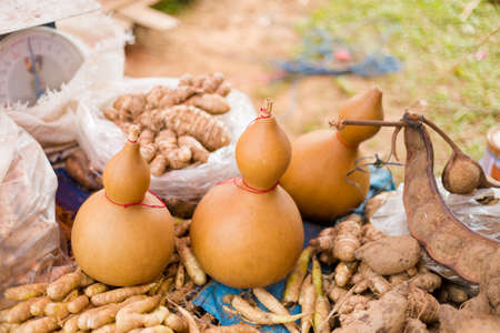 Beautiful liquid containers made of dried gourd sale as souvenir in Mae Salong chinese village close to touristic Chiang Rai in north Thailand. Golden triangle region in south east Asia.の写真素材