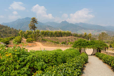 Beautiful landscape from Yun Lai viewpoint taken above  Santichon chinese town close to touristic Pai village in north Thailand. Mountain view in south east Asia.の写真素材