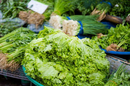Fresh asian green vegetables on market. Traditional thai food ingredients.の写真素材