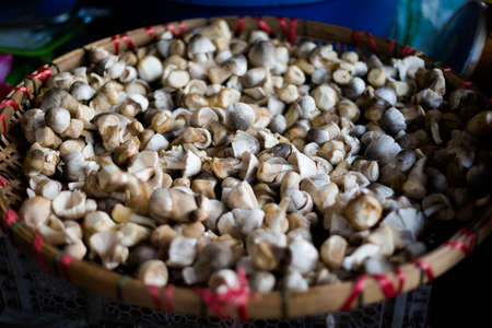 Basket full of fresh thai mushrooms on market. Traditional thai food ingredients.の写真素材