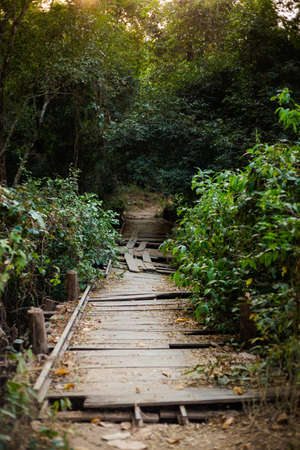 Landscape of remote Don Khone island in Laos. View with broken wooden bridge taken in wild jungle on four thousands islands on Mekhong river in south east asia during summer.の写真素材