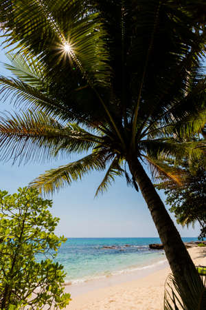 Summer landscape on tropical Koh Kood island in Thailand. Landscape with sea taken from Ao Tapao beach.の写真素材