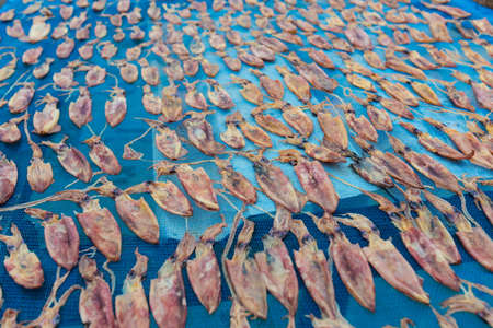 Ao Salad fishing village on Koh Kood island in Thailand. Closeup of su dried squid.の写真素材