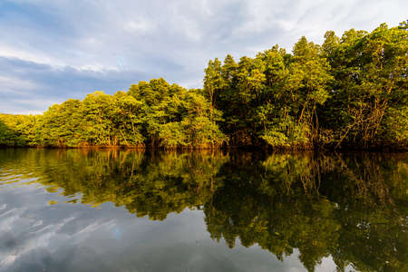 Summer landscape on tropical koh Kood island in Thailand. Beautiful panorama of jungle taken during kayak trip on Klong Chao.の写真素材
