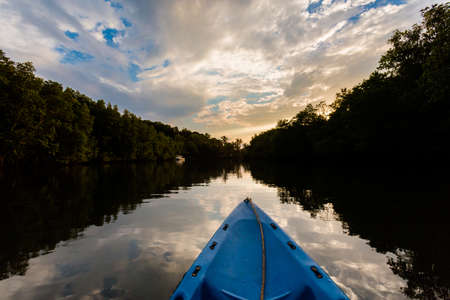 Summer landscape on tropical Koh Kood island in Thailand. Beautiful panorama of jungle taken during kayak trip on Klong Chao.の写真素材