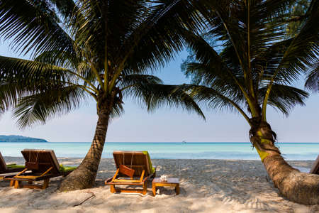 Summer landscape on tropical koh Kood island in Thailand. Panorama of white sand beach with coconut palms taken on Klong Chao.の写真素材