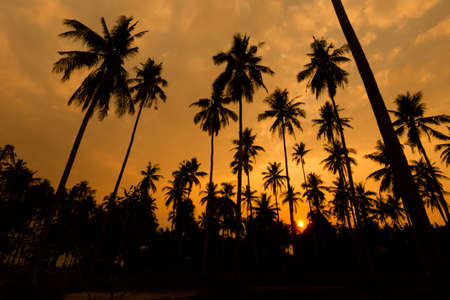 Summer landscape on tropical koh Kood island  in Thailand. Landscape with sea taken from Ao Tapao beach during sunset.の写真素材