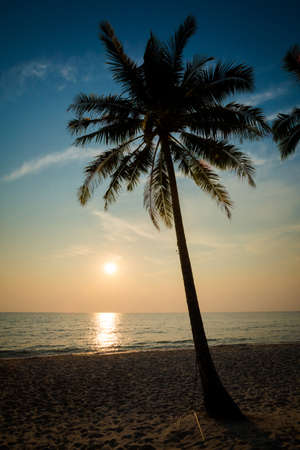 Summer landscape on tropical koh Kood island in Thailand. Panorama of white sand beach with coconut palms taken on Klong Chao.の写真素材