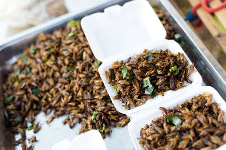Traditional thai snack fried crickets on market. Asian snacks.の写真素材