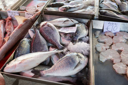 Selection of fresh caught fishes and seafood on Marsaxlokk local market on Malta island. Fresh maltese food ingredients.の写真素材