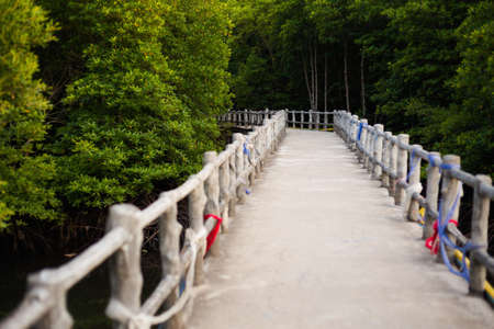 Summer landscape with concrete bridge on tropical koh Lanta island in Thailand. View on Baan Toh Balew.の写真素材