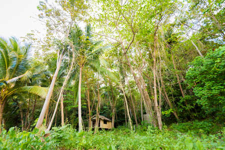 Wooden hut on tropical Koh Mook island in Thailand. Landscape with palms in jungle.の写真素材