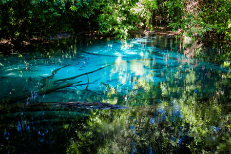 View on Blue Pond in Emerald Pool park Krabi in southern Thailand. Landscape taken in beautiful Thung Teao forest in south east Asia.の写真素材