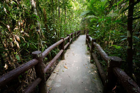 View on Emerald Pool in Krabi in southern Thailand. Landscape taken in beautiful Thung Teao forest national park in south east Asia.の写真素材