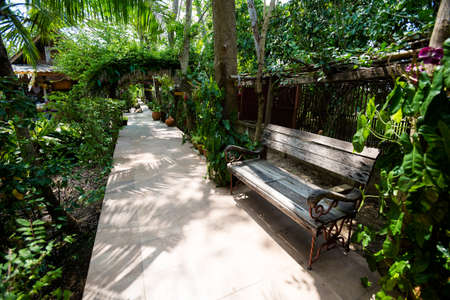 Farm on Koh Kret island on Menam river in Bangkok. Travelling across south east Asia.の写真素材