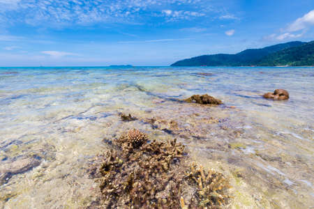Landscape with coral reef on tropical Tioman island in Malaysia. Beautiful seascape of south east asia on Tekek beach.の写真素材