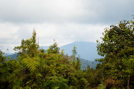 Beautiful landscape taken during trekking on Gunung Jasdar in Cameron Highlands mountains in...