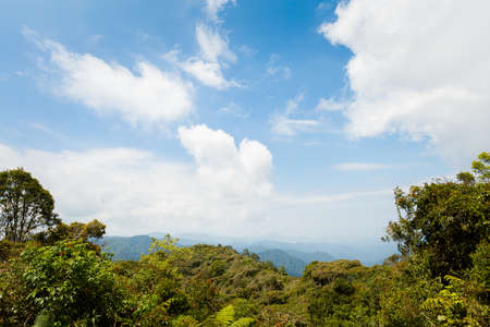 Beautiful landscape taken during trekking on Gunung Jasdar in Cameron Highlands mountains in...