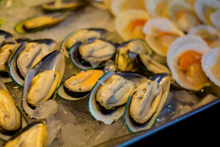Fresh raw asian mussels in shells on local market in Krabi town. Traditional thai cuisine made of fresh ingredients.の写真素材