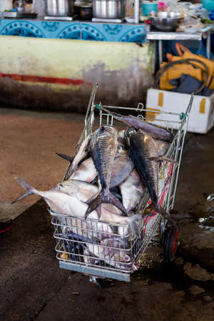 Selection of thai raw fishes on local market in Krabi. Traditional way of selling fresh seafood in...