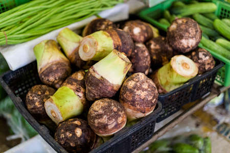 Fresh taro roots on local market in Krabi town. Traditional thai cuisine fresh ingredients.の写真素材