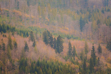 Autumn landscape photo taken in polish Beskidy mountains, Grabowa.