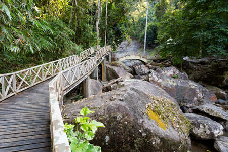 Stinky Durian Perangin waterfall on tropical Langkawi island in Malaysia. Beautiful nature of south east asia.の写真素材