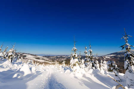 Beautiful panorama taken in polish mountains Beskidy on the way to Rysianka during snowy winter....