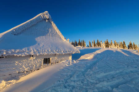 Beautiful panorama taken in polish mountains Beskidy on the way to Rysianka during snowy winter....