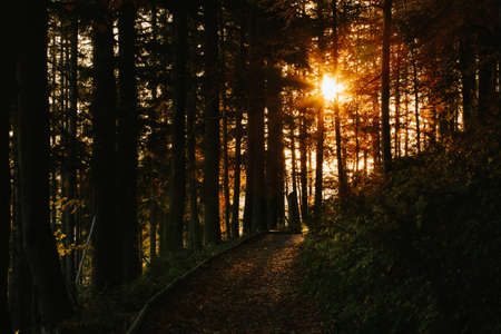 Beautiful landscape sunrise photo taken in polish Beskidy mountains - Babia Gora in the morning. On...