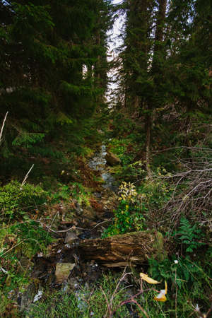 Beautiful landscape photo taken in polish Beskidy mountains with fog - Babia Gora in the morning. On...