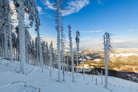 Beautiful panorama taken in polish mountains Beskidy on the way to Hala Lipowska during snowy winter. Landscape captured during skitour trekking.の写真素材