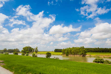 Summer landscape in tropical Mekong Delta, Vietnam. Motorbike trip in souteast Asia.の写真素材