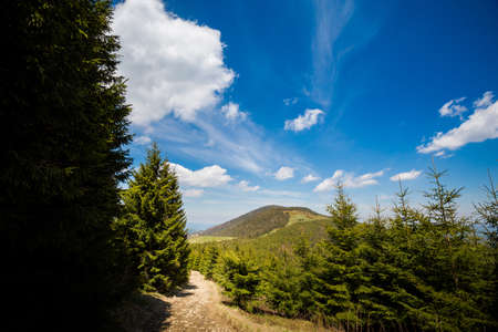 Beautiful panorama taken in polish mountains Beskidy on the way to Rysianka via Romanka during sunny...