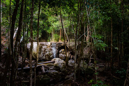 Summer landscape on tropical Phu Quoc island in Vietnam. Beautiful panorama of jungle trek to Suoi...