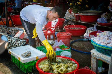 Phu Quoc, Vietnam - January 2020 : Morning market in Duong Dong, Phu Quoc. Local fresh food market.のeditorial素材