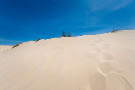 White sand dunes in La Gi, Phan Tiet area in Vietnam. Landscape with blue sky on the south of Mui Ne.の写真素材
