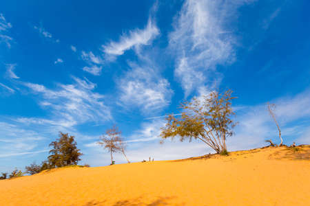 Red sand dunes in Mui Ne, Phan Tiet area in Vietnam. Landscape with blue sky.の写真素材