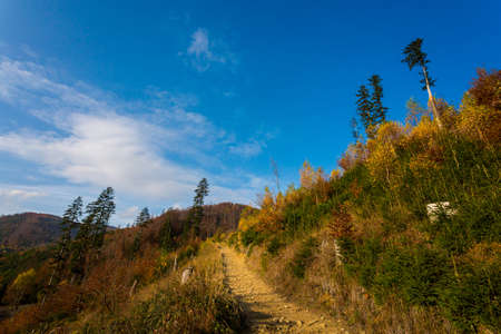 Autumn landscape photo of woods in polish Beskidy mountains, on the path to WIelka Racza.の写真素材