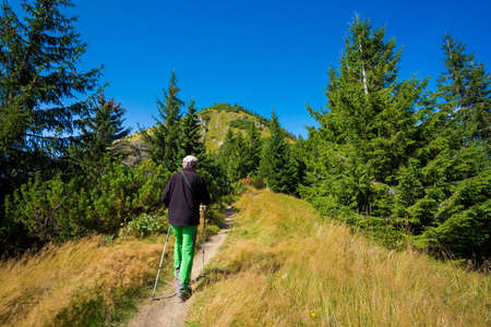 Adult tourist trekking in autumn woods, photo taken in slovakian Velka Fatra mountains, path through...