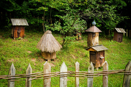 Sanok Poland - 28.08.2020 - View at the Wooden houses of Rural Architecture Museum in Sanok. 
Beautiful landscape photo of the biggest open-air museums in Poland taken during summer,のeditorial素材