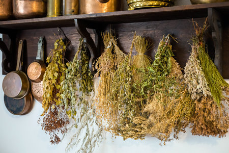Sanok Poland - 28.08.2020 - View at the Wooden houses of Rural Architecture Museum in Sanok. 
Beautiful landscape photo of the biggest open-air museums in Poland taken during summer,のeditorial素材